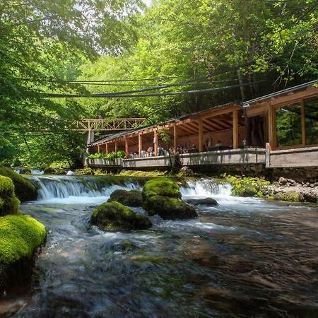 Resort Ujevara E Drinit 佩奇 外观 照片