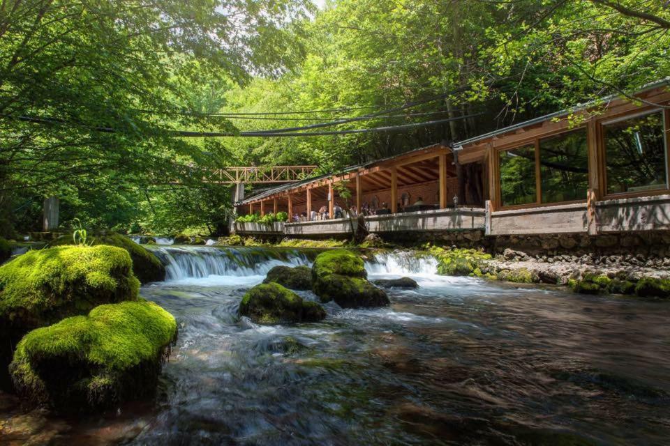 Resort Ujevara E Drinit 佩奇 外观 照片